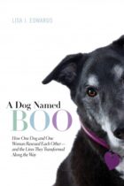 A Dog Named Boo by Lisa J. Edwards